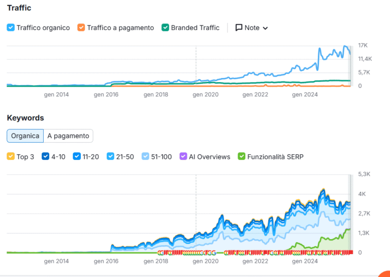 Traffico organico – case study